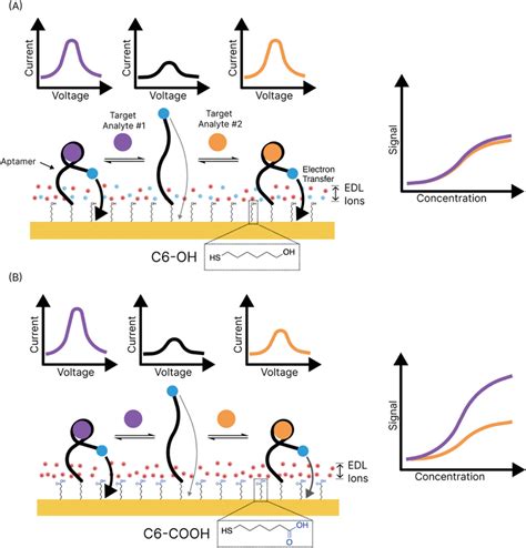 Electrolytic Sensor Method solutions|electrochemical sensor interface.